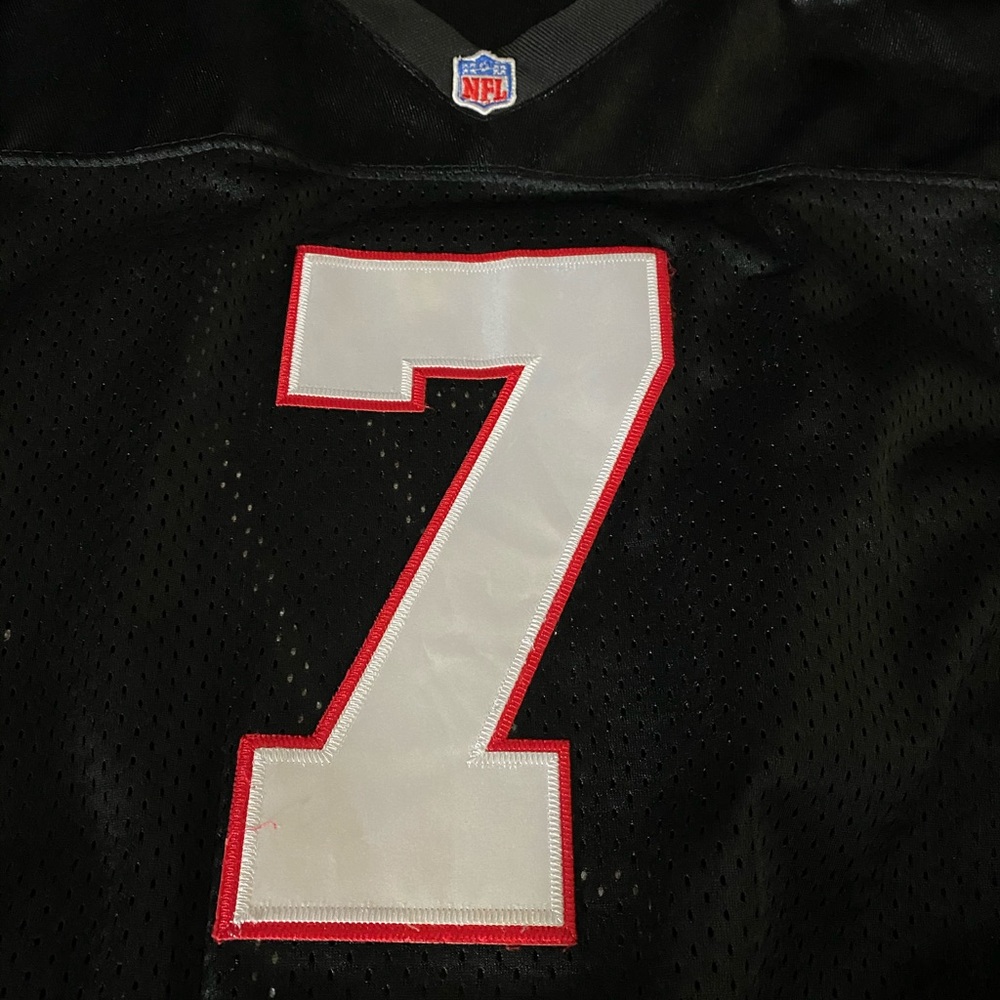 Michael Vick - Picture 7 of 7